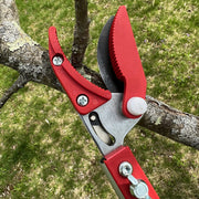 Long Reach Pruner (Extends to 5 Feet)