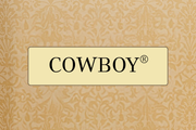 Tyler Candle Company 魅力洗手液——牛仔香调