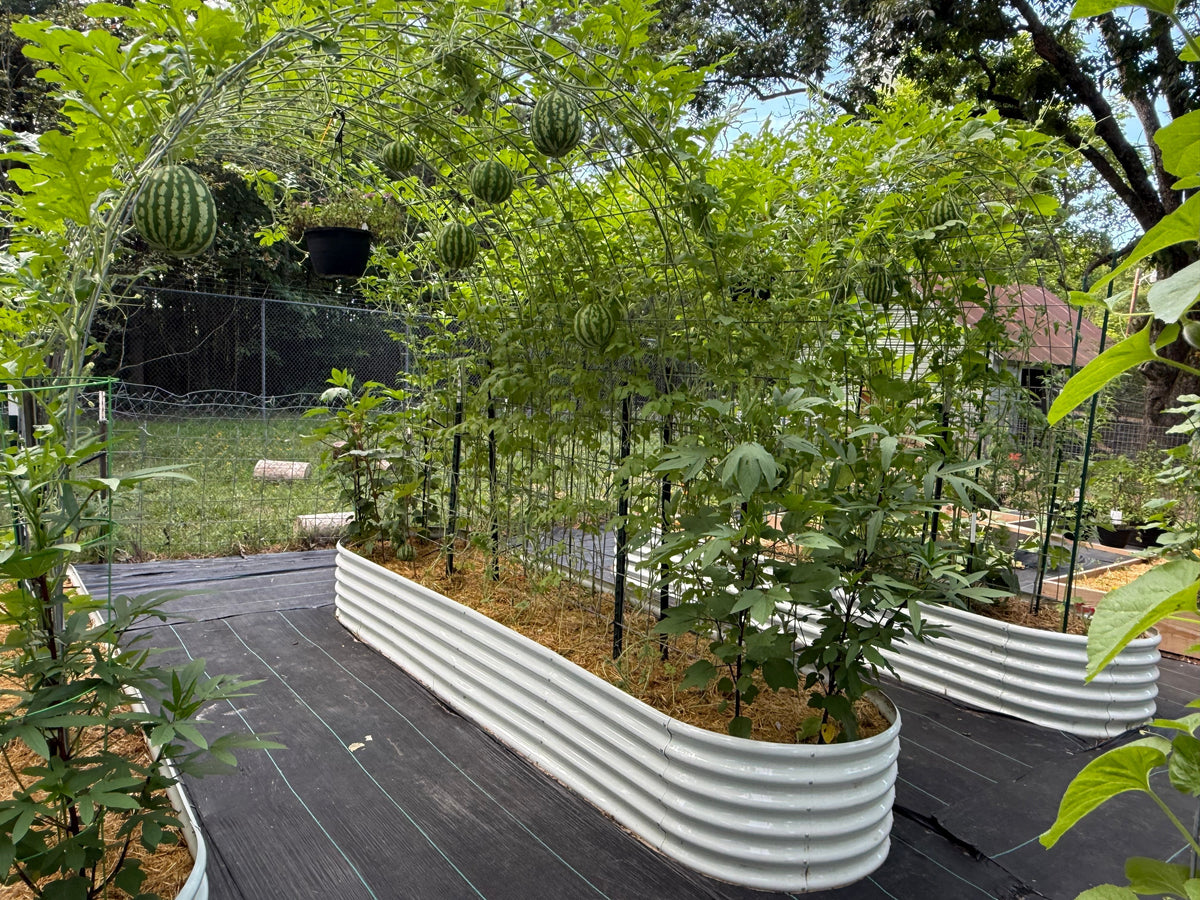 18" Tall 12x3 ft Galvanized Steel Raised Garden Bed