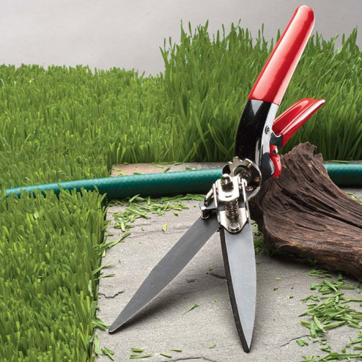 Grass Trimming Shears
