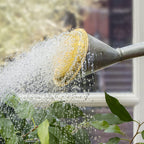 2-Gallon Oval Watering Can With Brass Rose