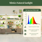 2 Tier Grow Light Garden