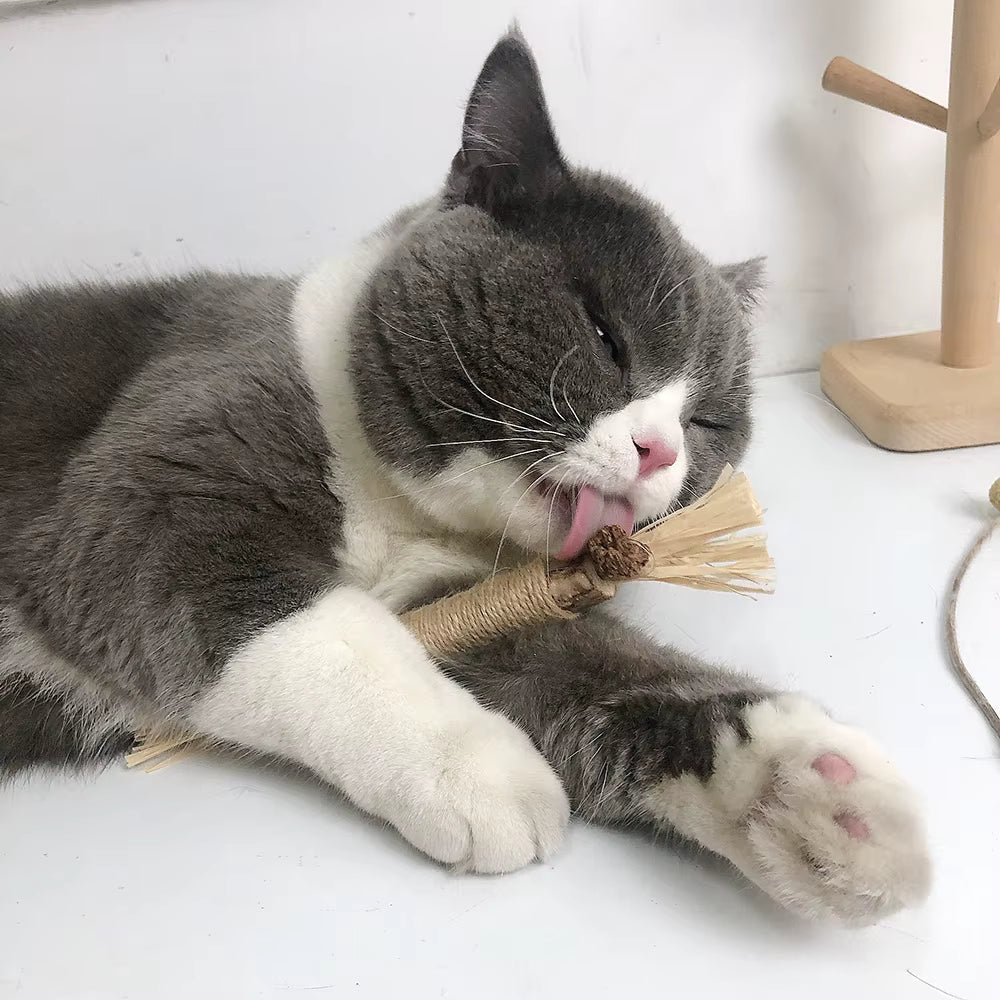 银香草猫咪咀嚼棒（3根装）