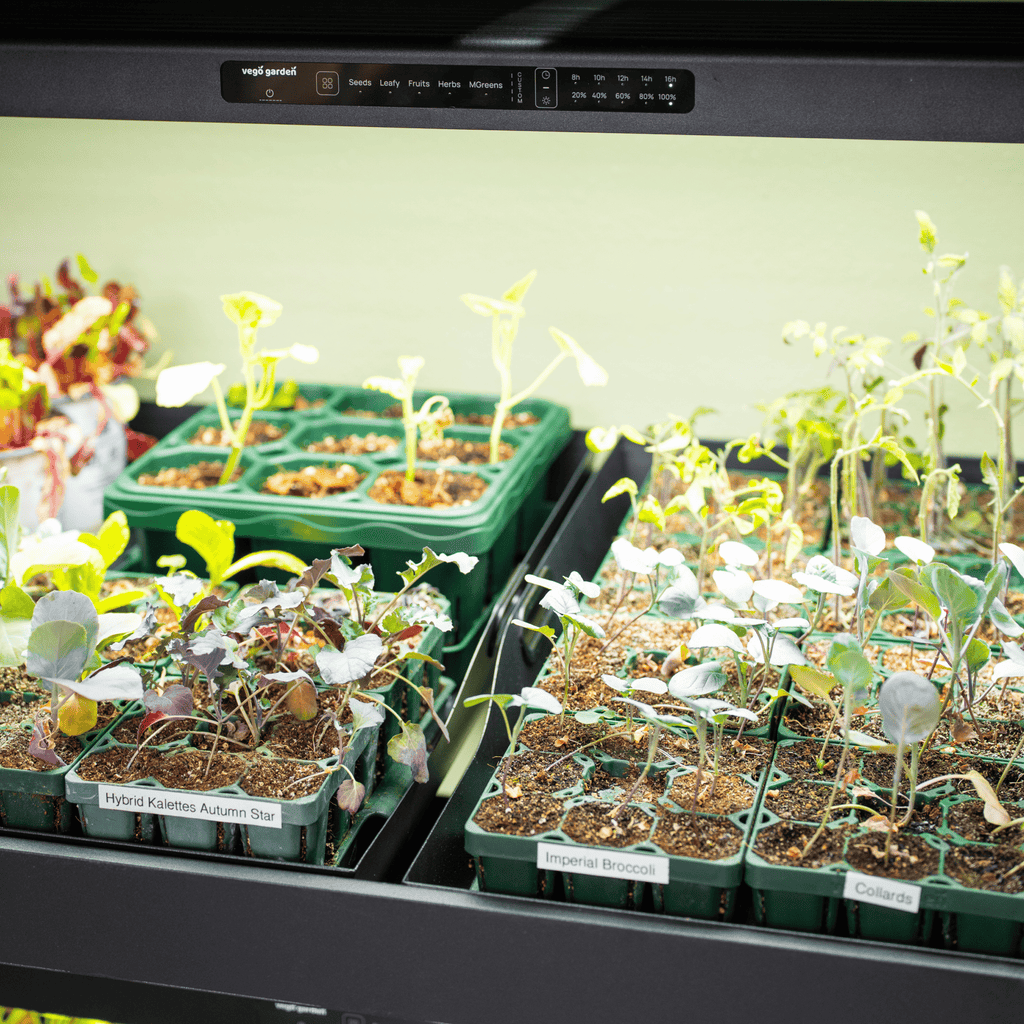 终极植物生长灯花园