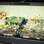 终极植物生长灯花园