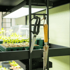 终极植物生长灯花园
