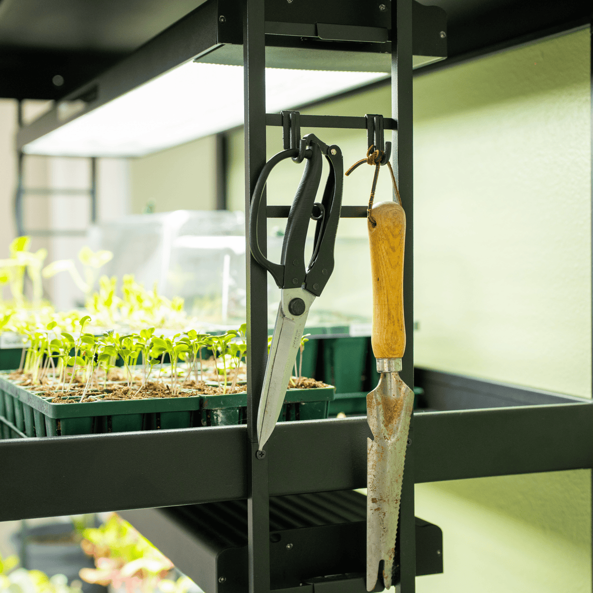 终极植物生长灯花园