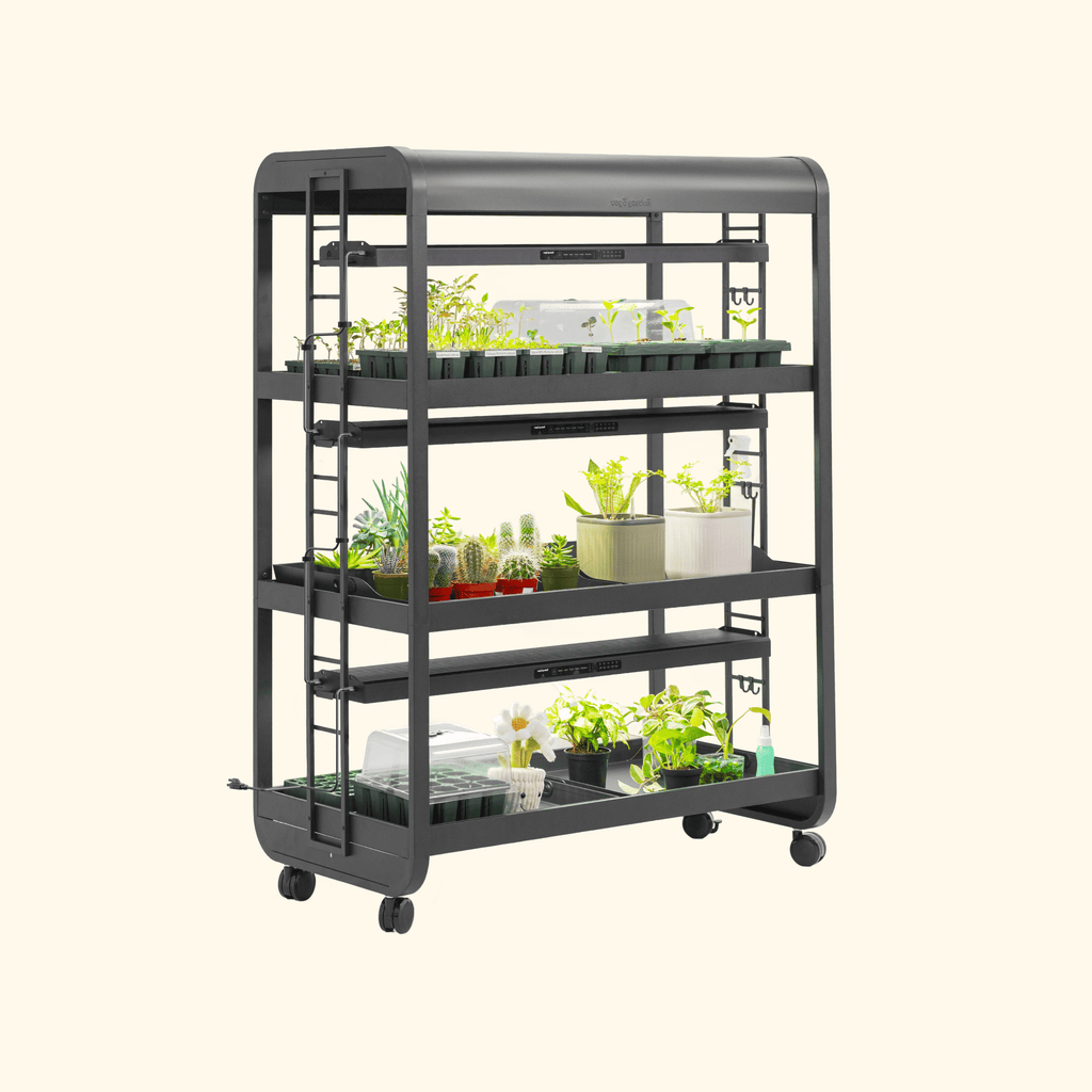 终极植物生长灯花园