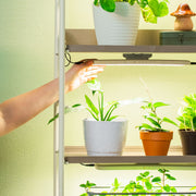 四层植物生长灯花园