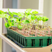四层植物生长灯花园