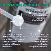 Daily Natural Vitamin E - High Bioavailability Antioxidant Support